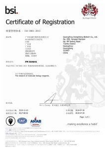 热烈庆祝东盛公司荣获ISO9001:2015质量管理体系认证