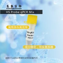 东盛上新丨探针法荧光定量PCR Mix - HS Probe qPCR Mix