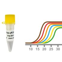 助力抗疫 东盛生物提供多种高品质一步法RT-qPCR Mix