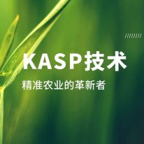 技术分享丨KASP：精准农业的革新者