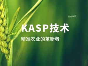 技术分享丨KASP:精准农业的革新者