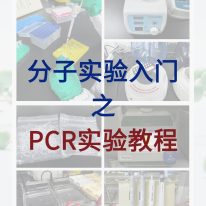 分子小白入门必学，完整的PCR实验教程