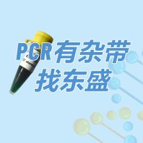 Super TaqMix：PCR有杂带 找东盛