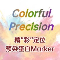 精 “彩” 定位：蛋白 Marker 助力蛋白质研究