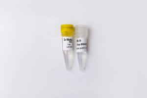 5X GDSlyo Multiplex Probe qPCR Mix Plus U P2721