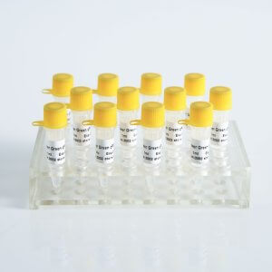 Power Green qPCR Mix（Low ROX+）P2101a/P2102a/P2103a