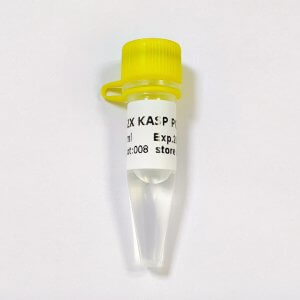KASP PCR Mix
