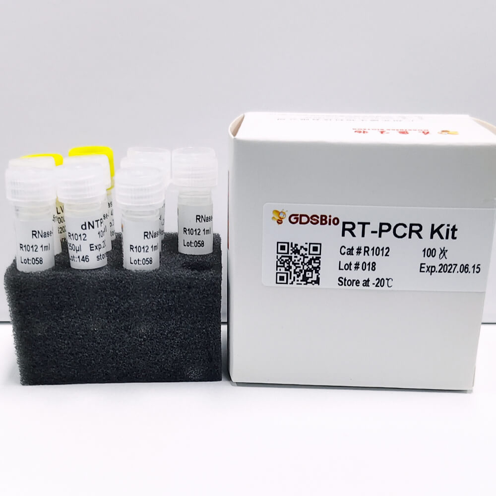RT-PCR Kit 逆转录试剂盒 R1011/R1012