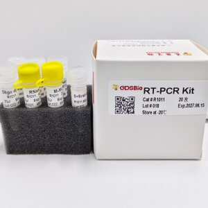 RT-PCR Kit 逆转录试剂盒 R1011/R1012