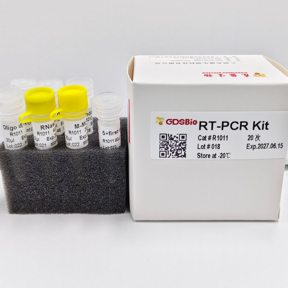 RT-PCR Kit 逆转录试剂盒 R1011/R1012
