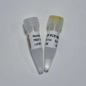 KP PCR Master Mix P4021/P4022