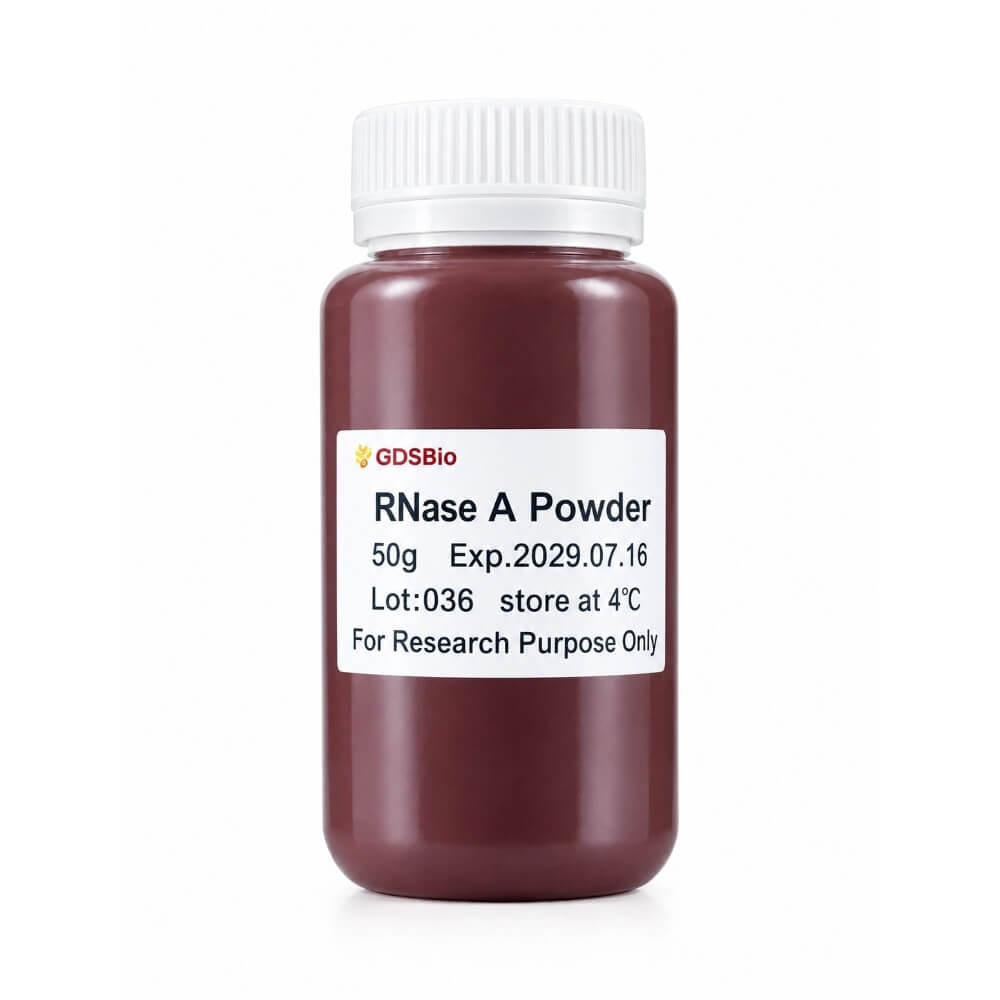 RNase A冻干粉末 N9047