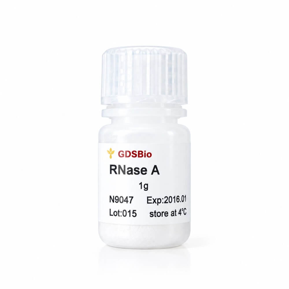 RNase A冻干粉末 N9047