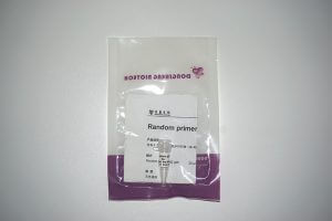 Random primer(50μM)(R2031)