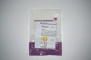 RNasin(RNase 抑制剂)(R2011)