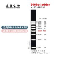 500bp Ladder DNA Marker  M1251/M1252