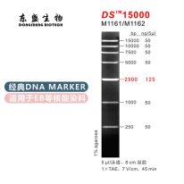 DS15000 DNA Marker M1161/M1162