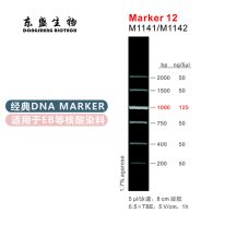 Marker 12 DNA Marker M1141/M1142