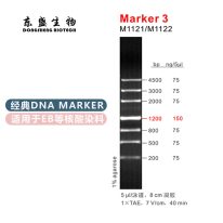 Marker 3 DNA Marker M1121/M1122