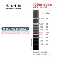 100bp Ladder DNA Marker M1061/M1062