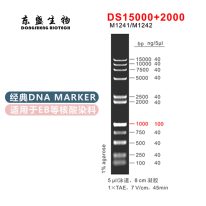 DS15000+2000 DNA Marker M1241/M1242