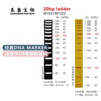 20bp Ladder DNA Marker M1021/M1022