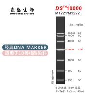 DS10000 DNA Marker M1221/M1222