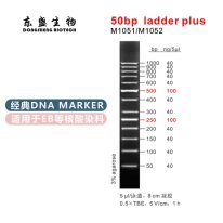 50bp Ladder Plus DNA Marker M1051/M1052