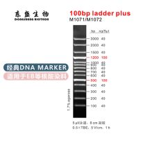 100bp Ladder Plus  DNA Marker M1071/M1072