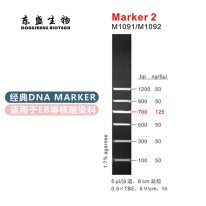 Marker 2 DNA Marker M1091/M1092