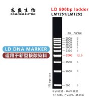 LD 500bp Ladder DNA Marker LM1251/LM1252