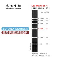 LD Marker 4 DNA Marker LM1231/LM1232