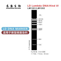 LD λ DNA (Lambda DNA)/HindIII DNA Marker LM1201/LM1202