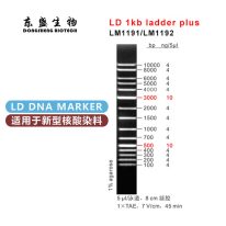 LD 1kb Ladder Plus DNA Marker LM1191/LM1192