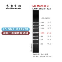 LD Marker 3 DNA Marker LM1121/LM1122