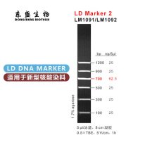 LD Marker 2 DNA Marker LM1091/LM1092