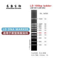 LD 100bp Ladder DNA Marker LM1061/LM1062