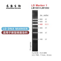 LD Marker 1 DNA Marker LM1081/LM1082