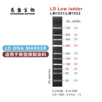 LD Low Ladder DNA Marker LM1031/LM1032