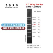 LD 50bp Ladder DNA Marker LM1041/LM1042