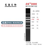 DS2000 DNA Marker M1101/M1102