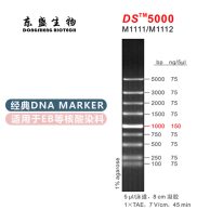 DS5000 DNA Marker M1111/M1112