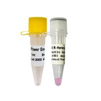 Power Green qPCR Mix （with ROX）(P2101a-P2102a-P2103a)