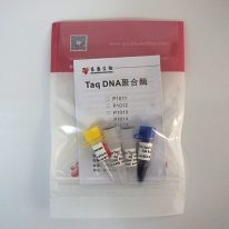 Taq DNA Polymerase (P1011-P1012-P1013-P1014-P1015)