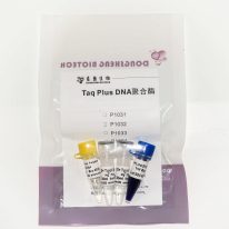 Taq Plus DNA Polymerase (P1031-P1032-P1033-P1034)