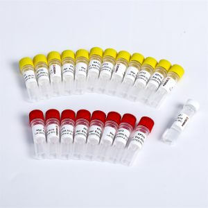Multiplex Oligos 2 for Illumina K002-B(192rxns)