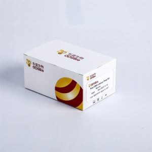 1STEP Universal DNA Library Prep Kit