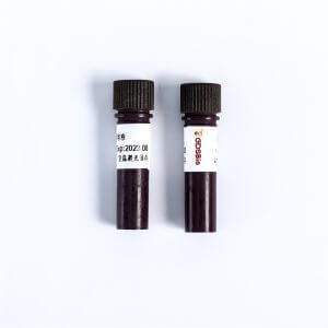 AIE-Gelgreen核酸凝胶染料(10,000X)M9101