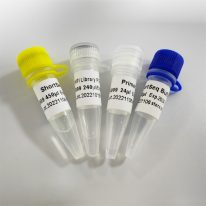 转座酶建库试剂盒ShortSeq Library Prep Kit K009-A/K009-B