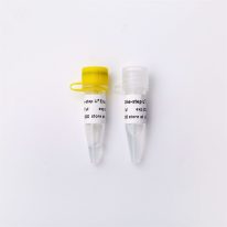 One-step Probe RT-qPCR Kit V3 含热敏UDG酶V5011 V5011-2